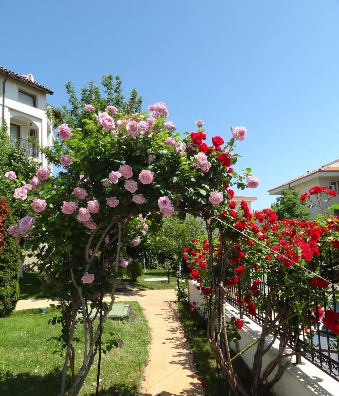 Triumph Holiday Village Sveti Vlas Eksteriør billede